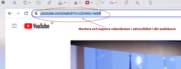 KD FAQ youtube kopiera1 221124