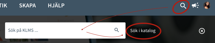 KLMS FAQ search options 2 swe 220107